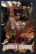 Absolute Wonder Woman #4  Hayden Sherman NM DC