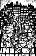 Teenage Mutant Ninja Turtles #20: 300th Issue Special Variant Ri (25) (Eastman