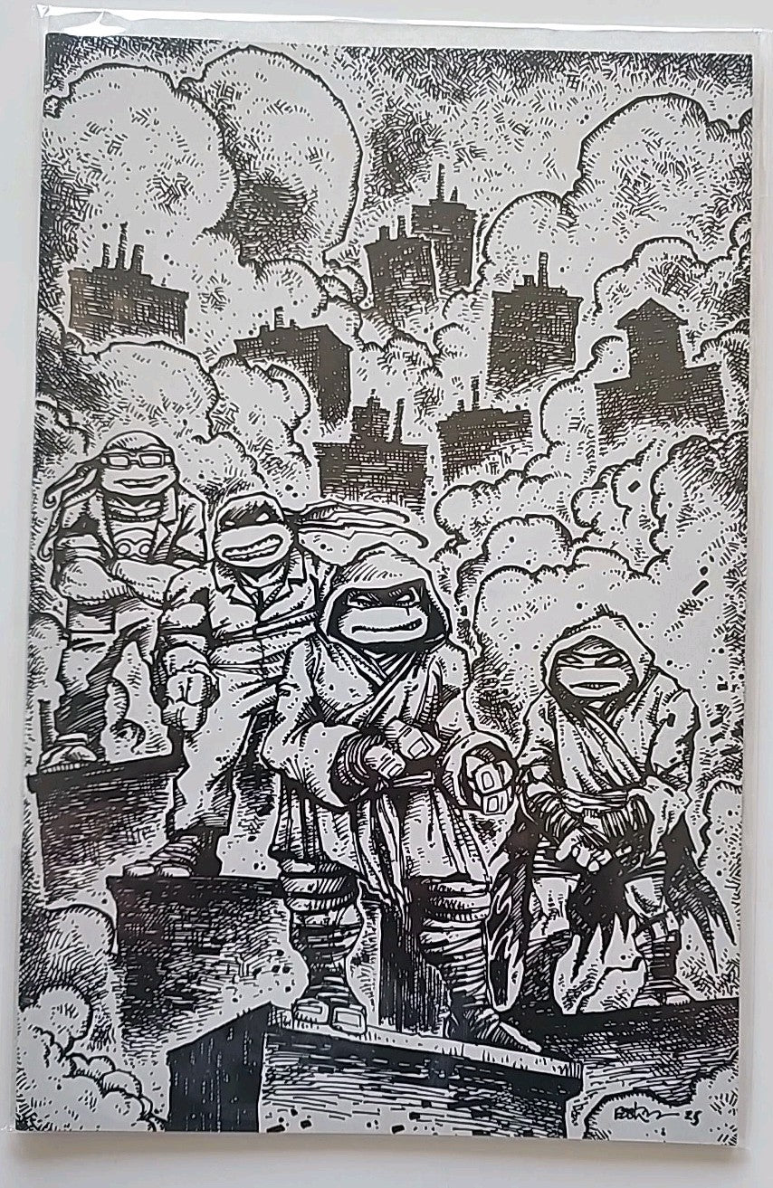 TEENAGE MUTANT NINJA TURTLES #10 (2025) - GRADE NM - IDW 1:10 INCENTIVE VARIANT
