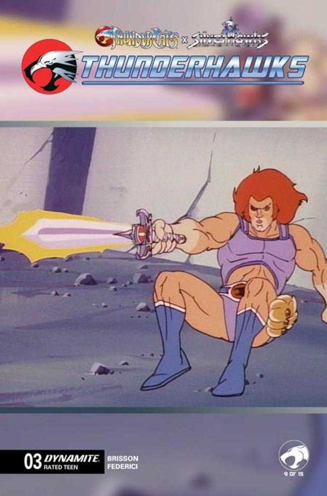 Thundercats X Silverhawks Thunderhawks #3 Cover E Animation Art Variant