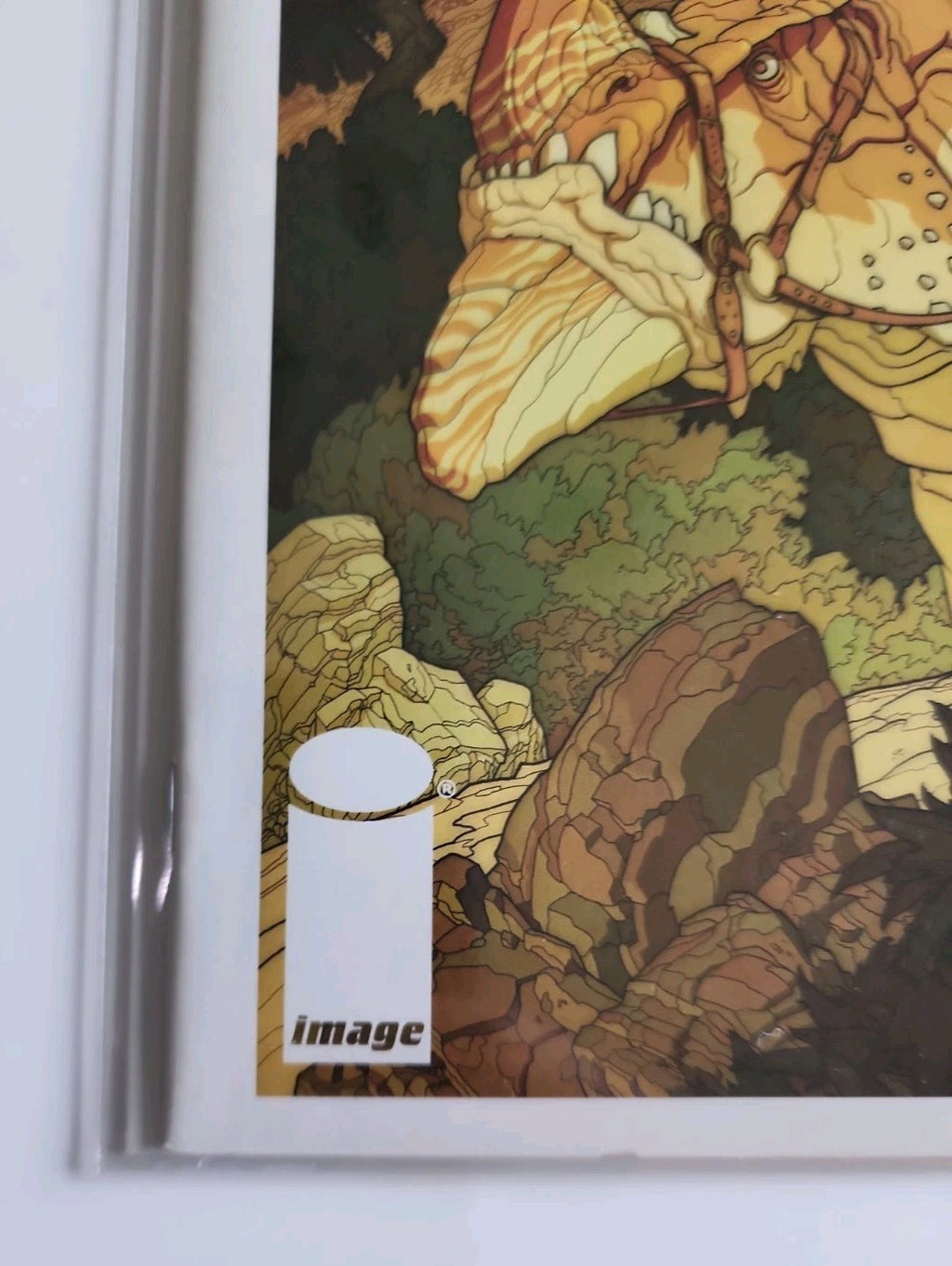 Nonplayer #1 VF; Image Nate Simpson 1st Print - Eb-2