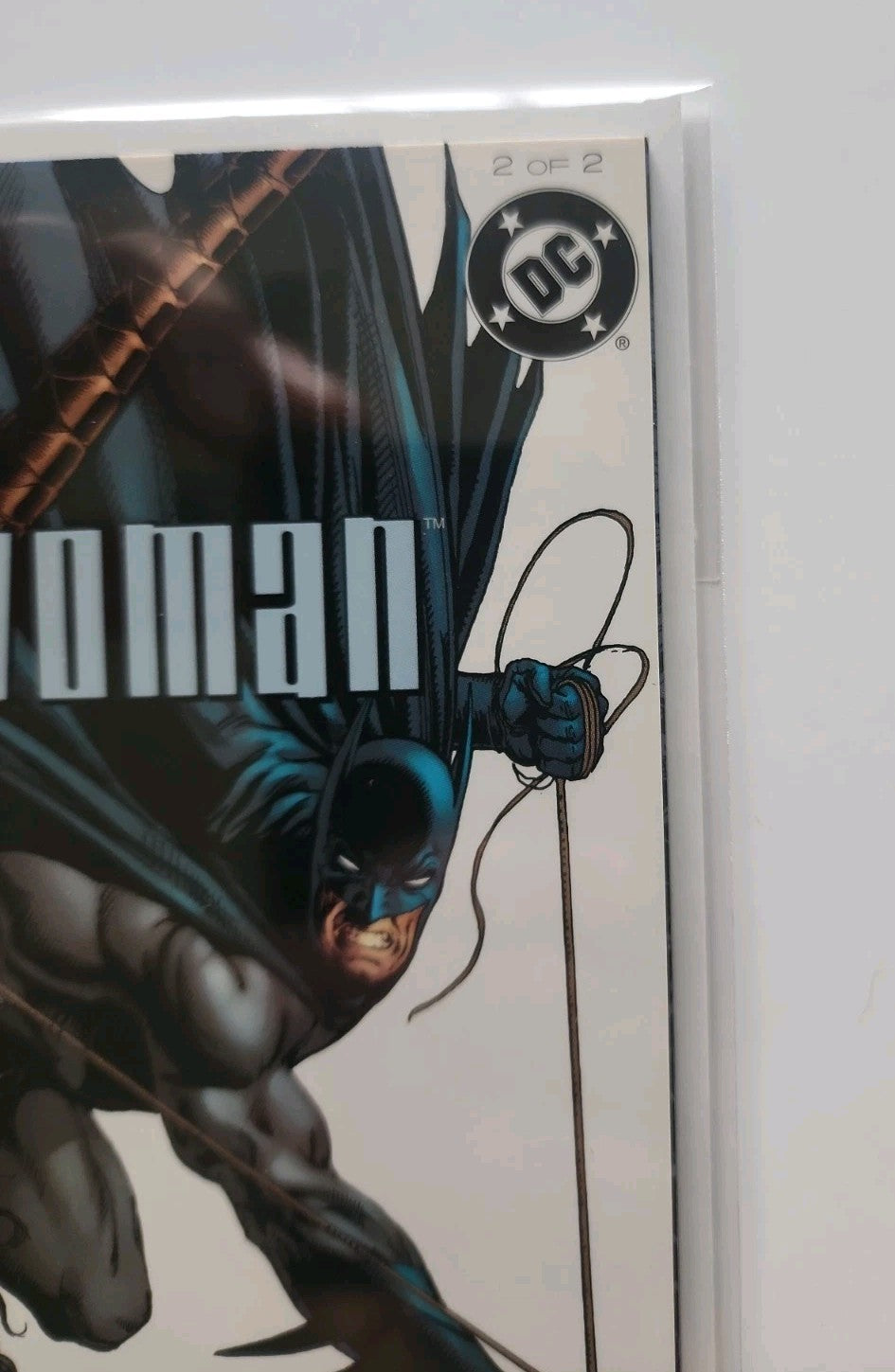 Batman And Catwoman Trail Of The Gun #2 Near Mint Eb-2