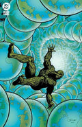 Swamp Thing 1989 #2 (Of 4) Cover B Rick Veitch Foil Variant