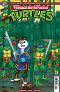 Teenage Mutant Ninja Turtles: Saturday Morning Adventures #37 Variant D Foil