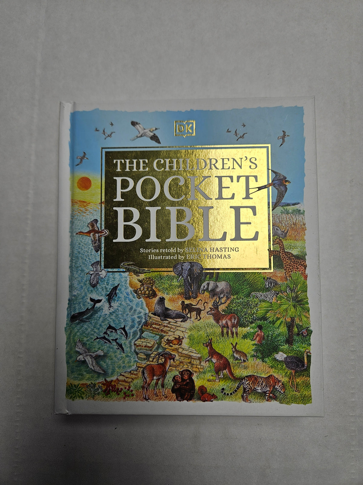 Children's Pocket Bible