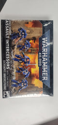 Space Marines: Assult Intercessors