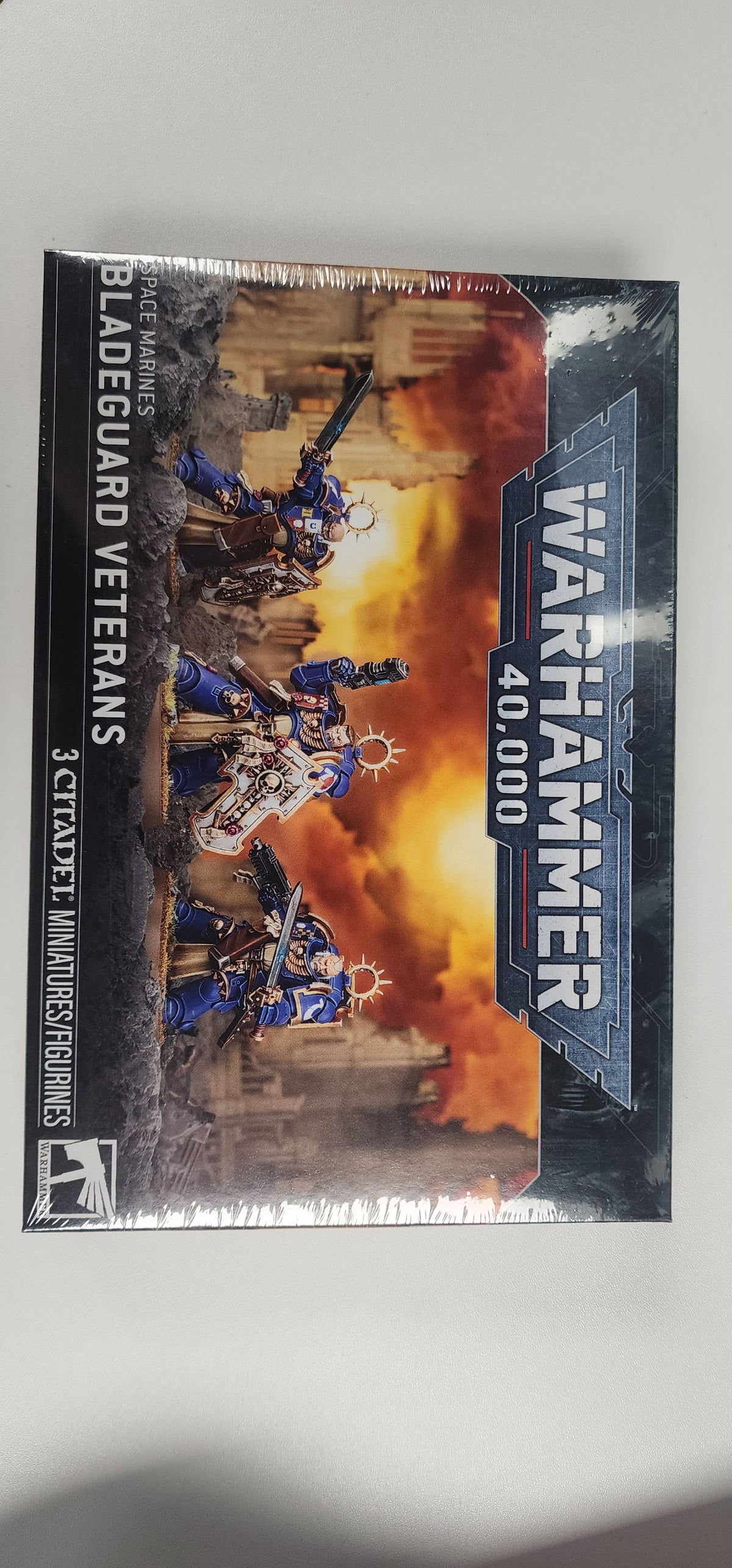 Space Marines: Bladeguard Veterans