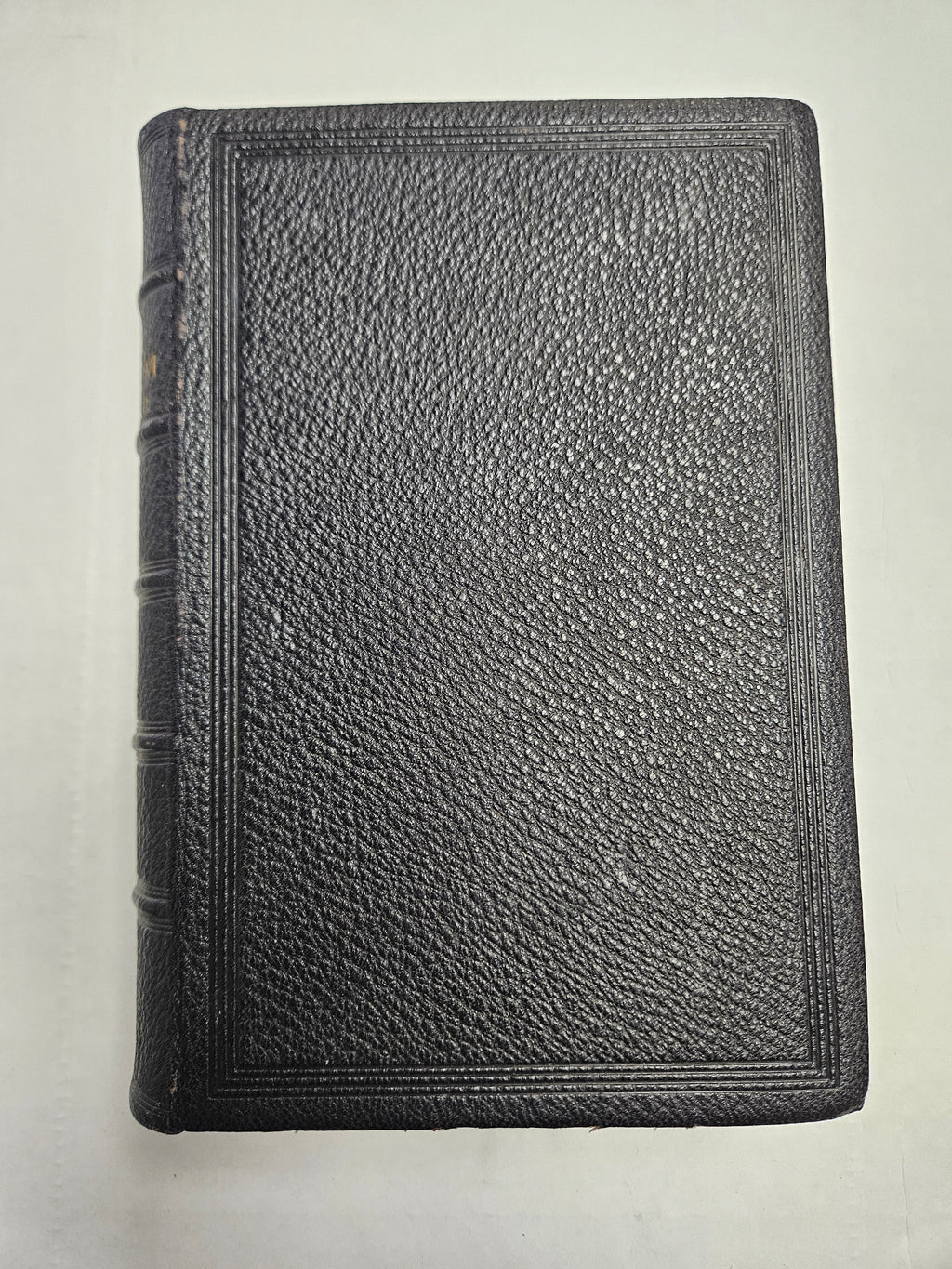 The parallel New testament: Greek and English