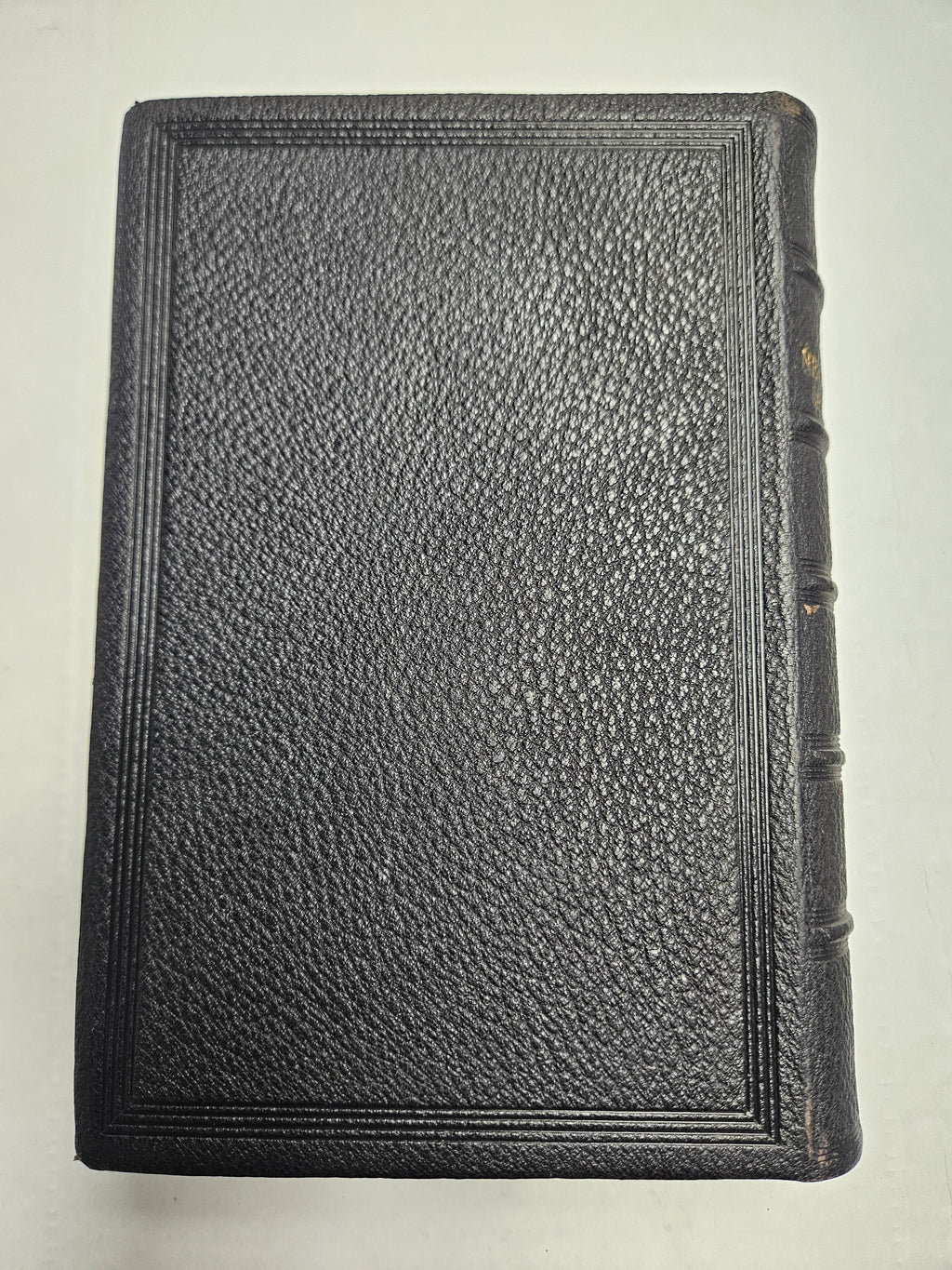 The parallel New testament: Greek and English