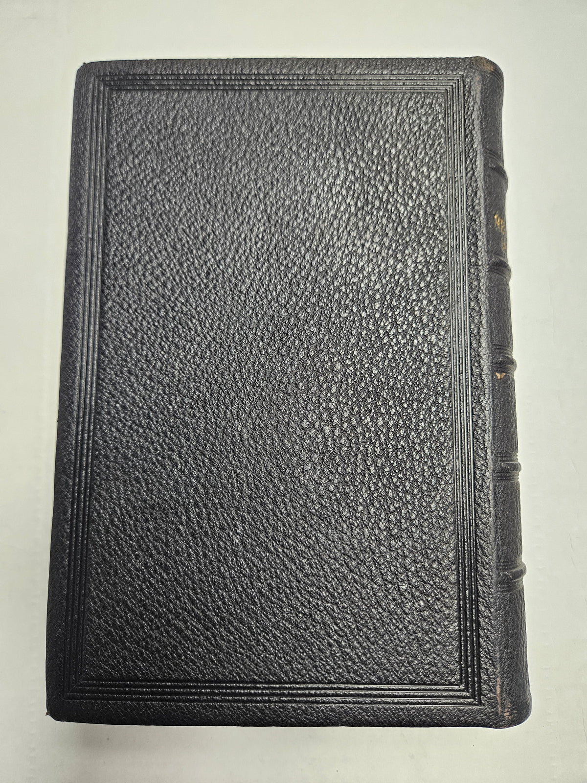 The parallel New testament: Greek and English